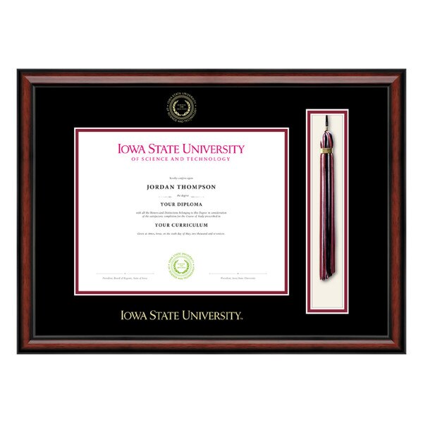 Church Hill Classics embossed Seal Tassel Bachelor's Degree Diploma Frame #1
